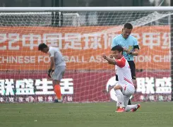 青岛队在主场对阵黑龙江队，取得坚定胜利的简单介绍