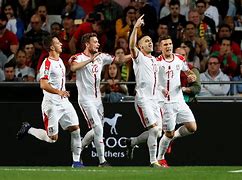 塞尔维亚队连胜跻身决赛！匈牙利队梦碎