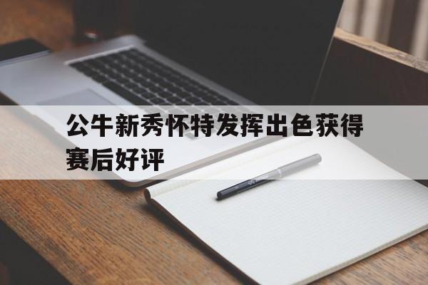 公牛新秀怀特发挥出色获得赛后好评